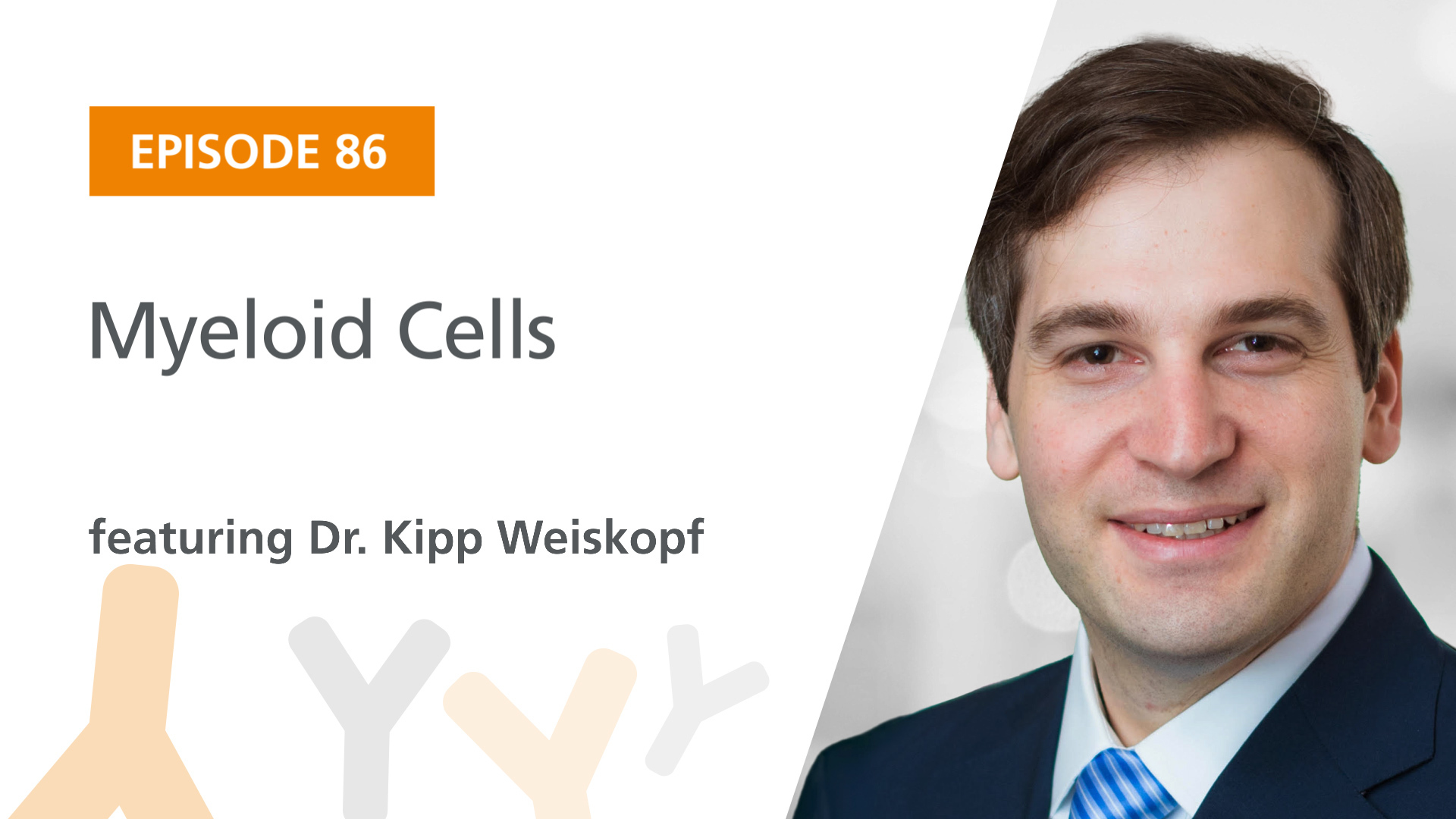 Kipp Weiskopf