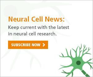Keep current with the latest in neural cell research