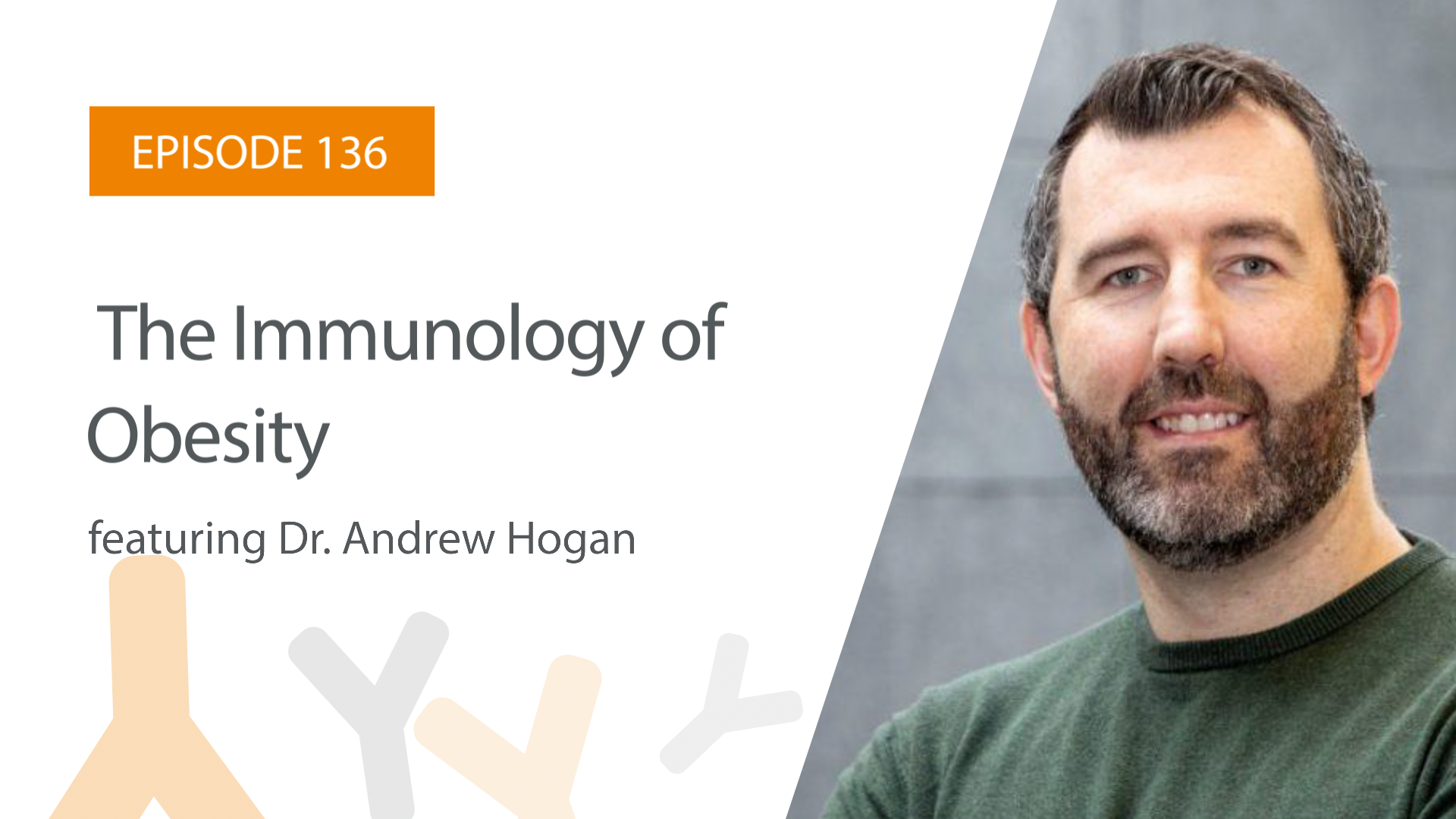 Andrew Hogan
